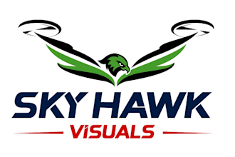 professional logo design for businesses industries