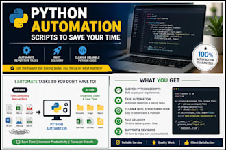 automate file organization and workflows using python scri