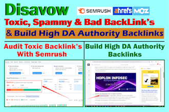 disavow spam and toxic links and build high quality backlinks
