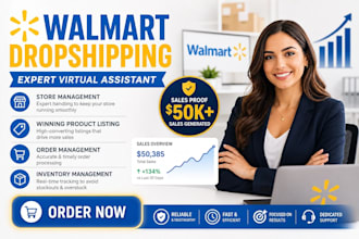 be walmart wfs wholesale expert, walmart 2 dropshipping va, walmart
