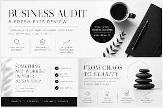 do business audit and fresh eyes review