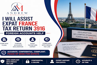 assist expat france tax return 3916 foreign account