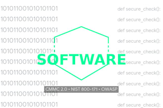 develop secure software and perform code security review
