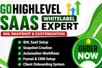 setup gohighlevel saas, ghl snapshot, ghl customization, ghl automation system