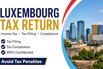 handle luxembourg tax return filing, income tax services, and tax compliance