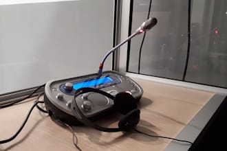 professional english italian interpreting