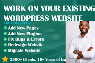 redesign and optimize your word press website professionally