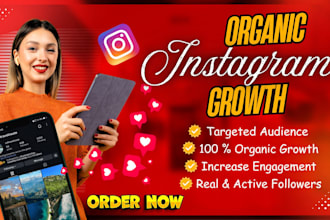 grow your instagram organically with real targeted followers