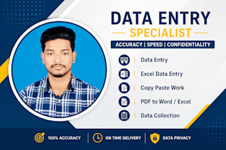 do  PDF to excel, excel data entry and copy paste