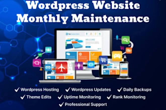 do wordpress maintenance, site speed, website update and support