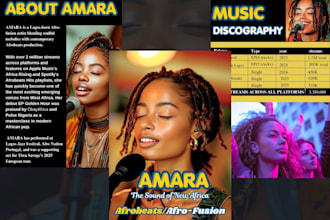 design high quality electronic press kit for musician artists and brands