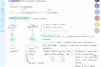 do summaries, flash cards and all of other requests
