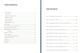 write professional srs and business analysis document