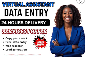 do internet research virtual assistant for data entry scraping and web research