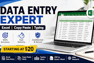 do data entry, copy paste, typing work with 100accuracy