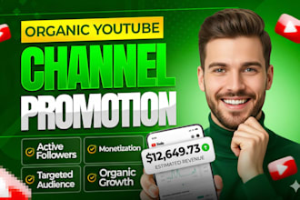 complete youtube channel monetization in 10 days promotion organically