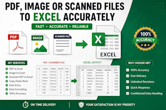 convert PDF to excel and clean the data professionally