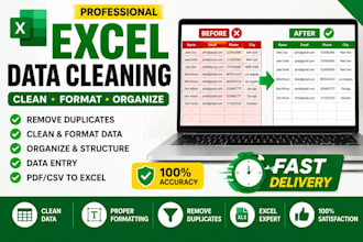 do excel data cleaning, formatting and remove duplicates