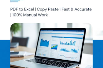 do excel data entry, pdf to excel, copy paste in 24hrs