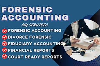 do forensic accounting, divorce forensic, court ready report