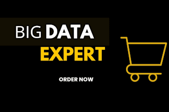 do big data expert for your business