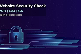 do website security testing, vapt, and vulnerability assessment