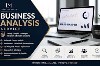 be your professional business analyst for requirements and process mapping