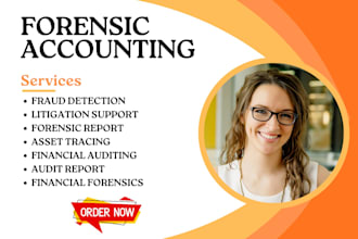 do forensic accounting, forensic audit report, fraud investigation report