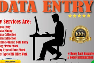 handle data entry, cleaning, and typing professionally
