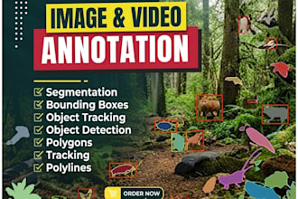 do data annotation, bounding box and video segmentation
