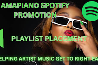 promote your amapiano song with targeted spotify playlist pitching
