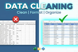 format, clean, organize and fix excel or csv data