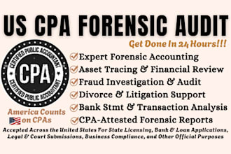 do forensic accounting, fraud investigation, asset tracing, litigation support