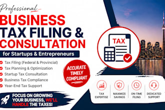do business tax filing consultation for startups entrepreneurs