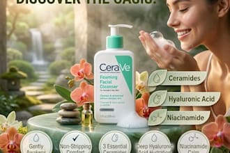 create professional canva graphics