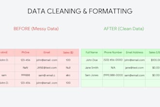 write python scripts to clean messy data and scrape websites flawlessly