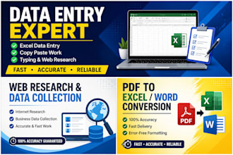 do data entry, copy paste, excel data, entry and web reserch