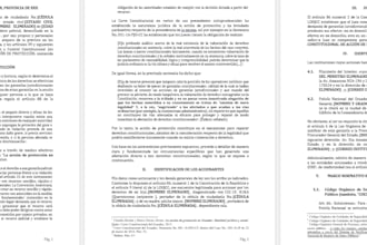 draft and translate diverse documentation
