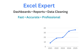 create professional excel dashboards, mis reports, and data analysis