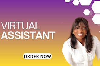 be your efficient virtual executive assistance