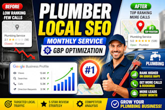 provide monthly local SEO service for plumber with gbp optimization