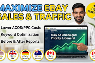 review and manage ebay priority and general ad campaigns
