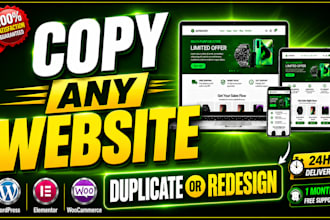 clone, duplicate, redesign or revamp wordpress website