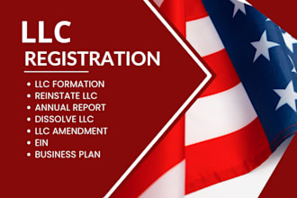 file US llc in all states, wyoming llc, delaware llc for USA resident
