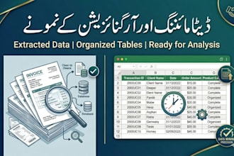 provide professional data entry and invoice processing