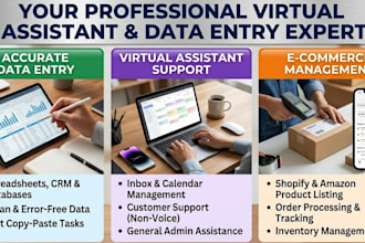 be your professional virtual assistant for data entry and store management