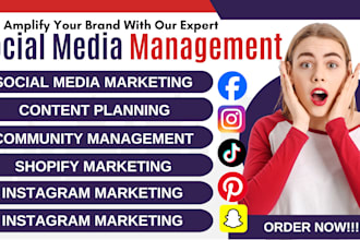 be profitable shopify social media sales manager instagram content tiktok ads
