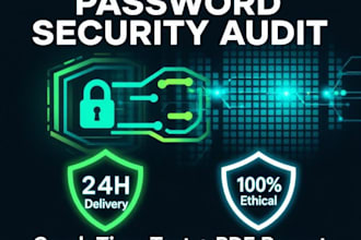 do a professional password security audit