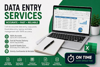 do accurate data entry, excel cleanup