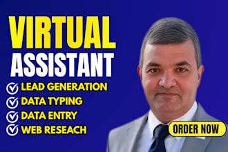 do wordpress data entry, web research, lead generation, copy paste, VA support
